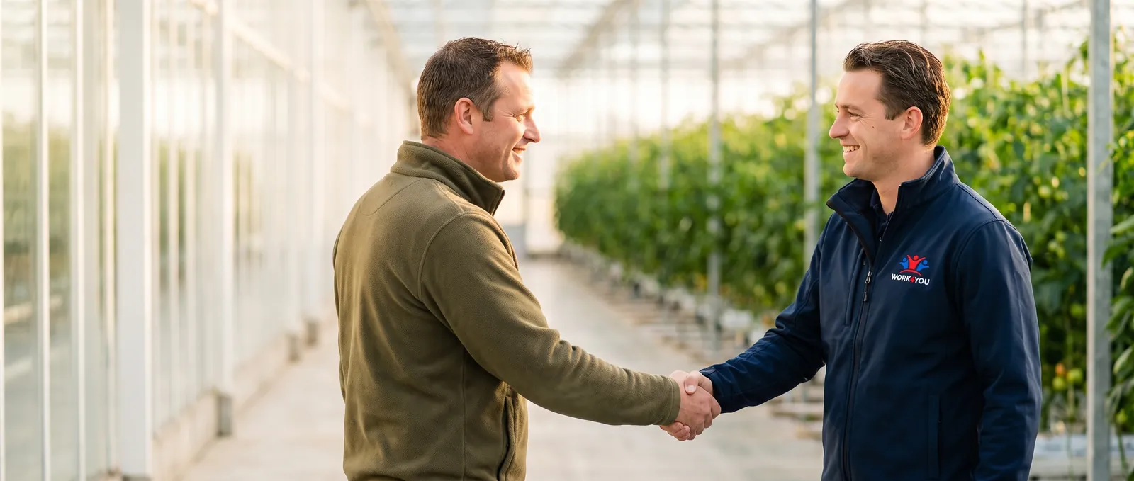 Kweker en accountmanager geven elkaar een hand in de kas